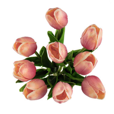 TULIPAN ROSA