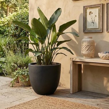 CLAYFIBRE EGG POT LARGE ANTHRACITE L D63H53