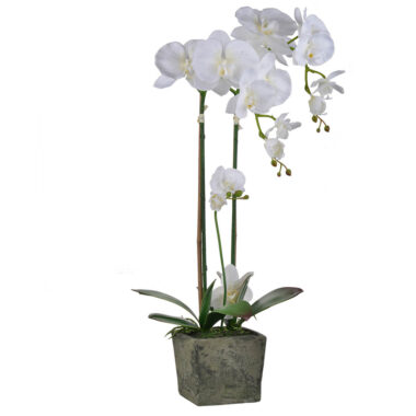 MACETA DE ORQUIDEA DECORATIVA