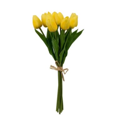 TULIPAN AMARILLO