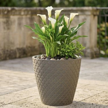MACETA CHATEAU GREY