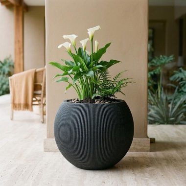 MACETA BOWL MEDIT BLACK