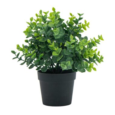 PLANTA C/MACETA