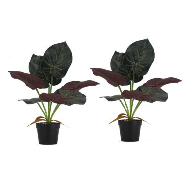 PLANTA CON MACETA