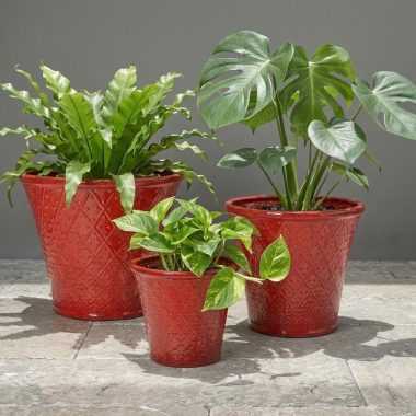 MACETA DE CERAMICA COLOR ROJO - L