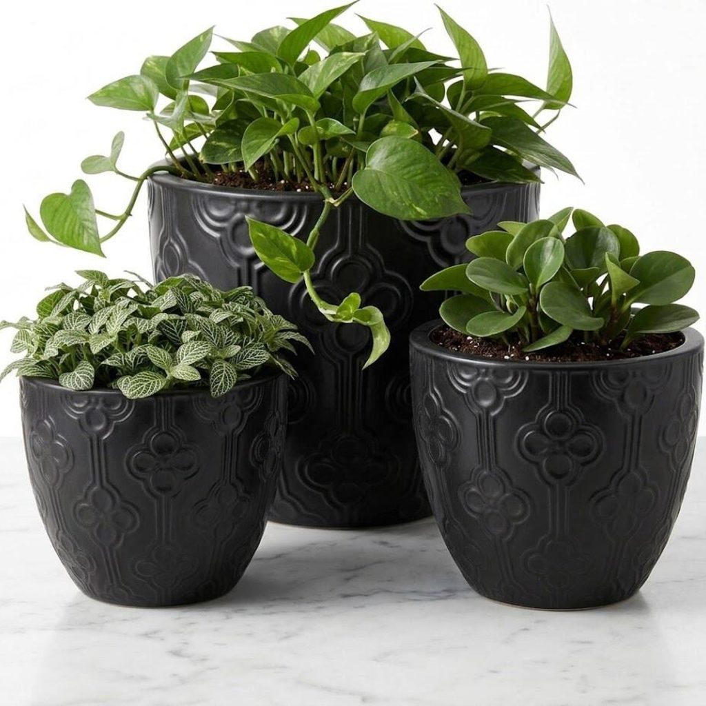 MACETA DE CERAMICA COLOR NEGRO - M