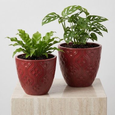 MACETA DE CERAMICA COLOR ROJO - M