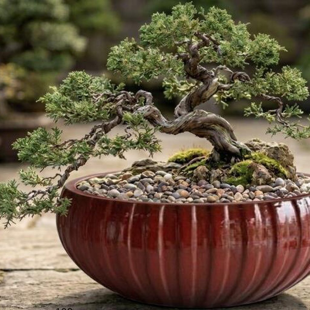 MACETA DE CERAMICA COLOR ROJO - XXL