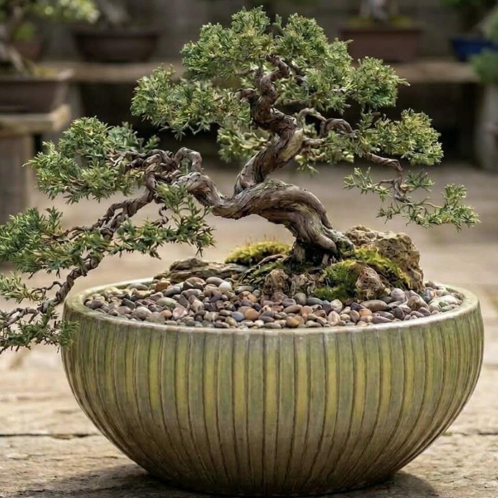 MACETA DE CERAMICA COLOR VERDE - XXL