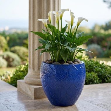 MACETA DE CERAMICA COLOR AZUL - M