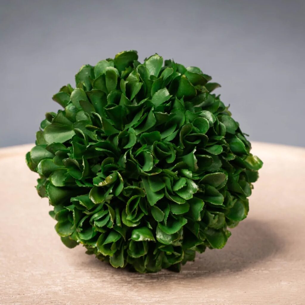 BOLA DE PLANTA ARTIFICIAL