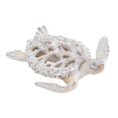 TORTUGA CON ASPECTO DE CORAL