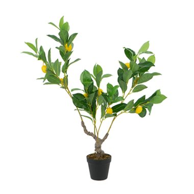 PLANTA ARTIFICIAL DE LIMON