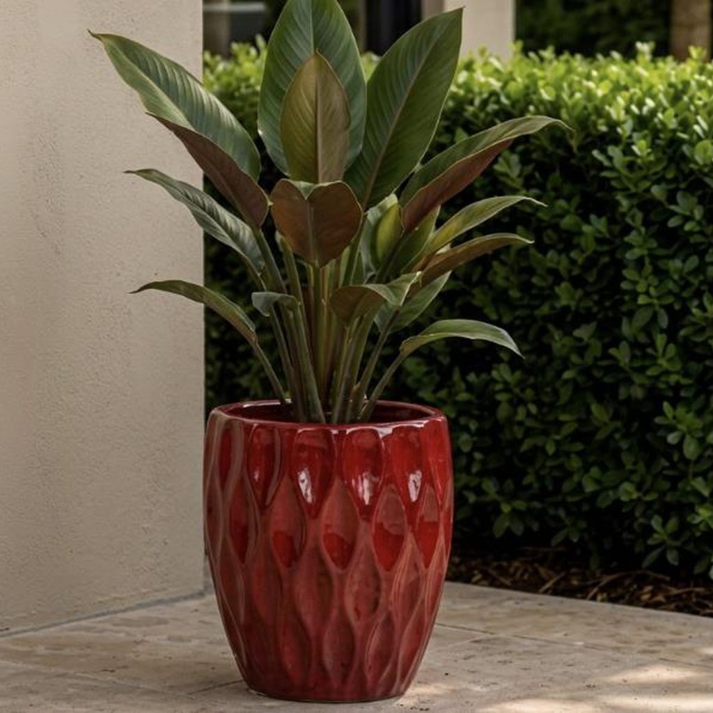 MACETA CERAMICA ROJO S