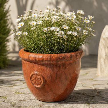 MACETA CERAMICA TERRACOTA S